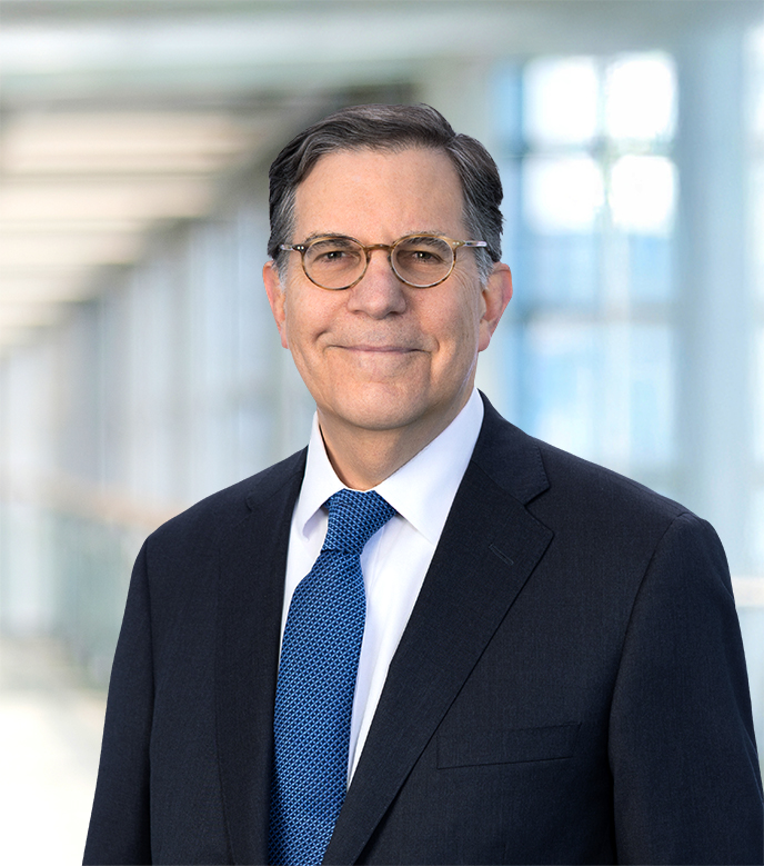 Louis M. Solomon - Partner in New York, NY