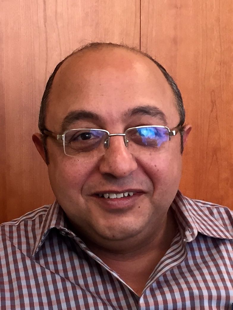 Amir Henein - Agent in Naperville, IL