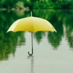 Yonas Hagos - Insurance Broker in Oakland, CA