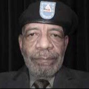 Wilbur Pelt - Agent in Homewood, IL
