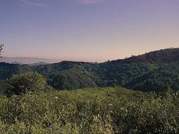 Deborah Donner - Broker in Boulder Creek, CA