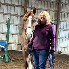 Amy Reedy - REALTOR in Saranac, MI