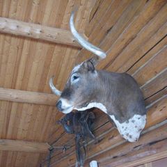 Charlie White - Broker in Great Falls, MT