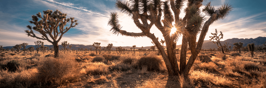 Cody Schrader - Financial Advisor in Peoria, AZ
