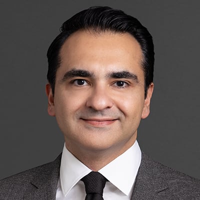 Nima Adabi - Partner in Chicago, IL