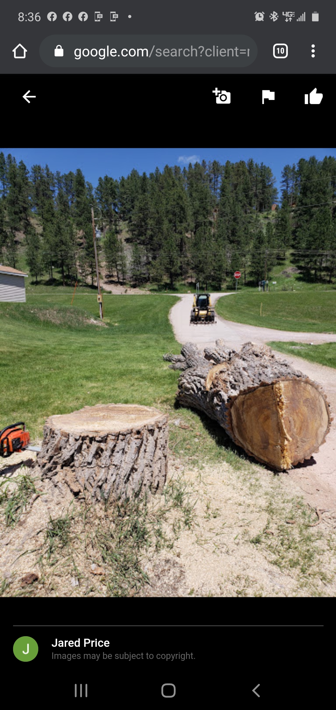 Deep Roots Tree Co. in Rapid City, SD