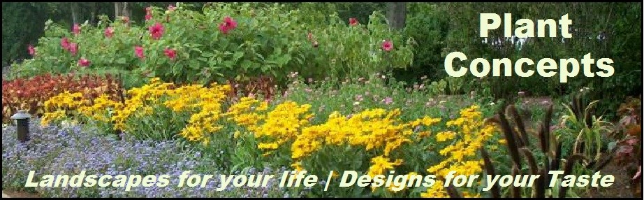 Plant Concepts in Lenoir City, TN