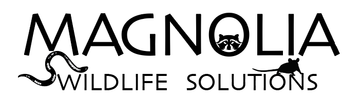 Magnolia Wildlife Solutions in Olive Branch, MS