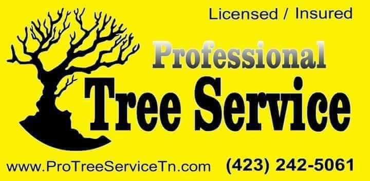 Incredible tree service in Ringgold, GA