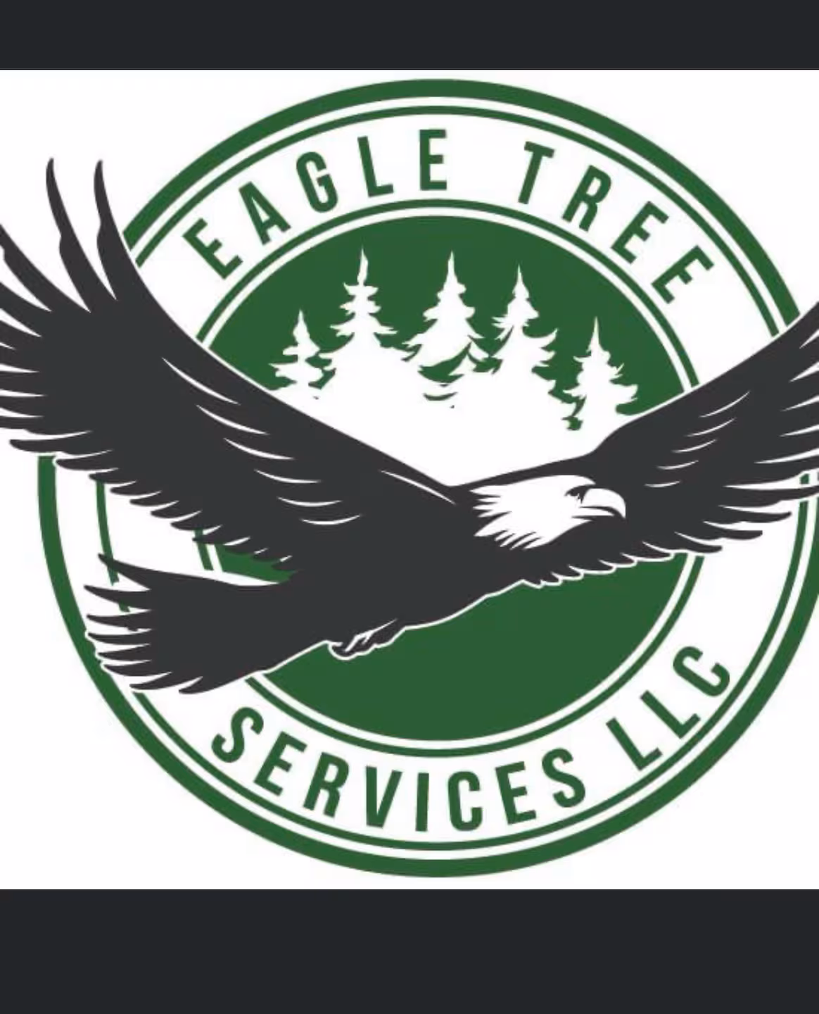 Eagle Tree Service in Chatsworth, GA