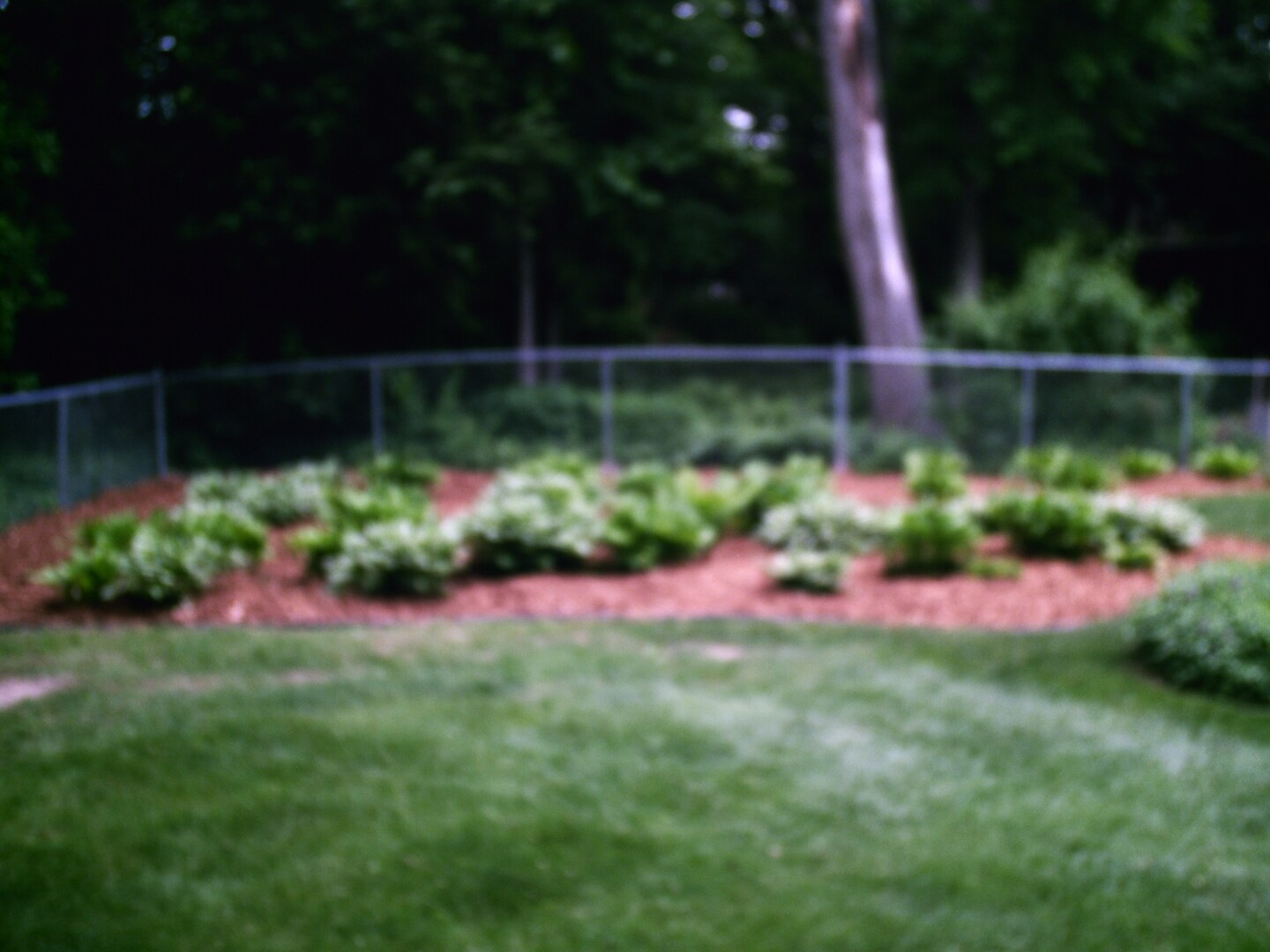 Husky Landscaping & Lawn Care, Llc in Shiocton, WI