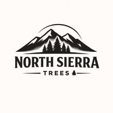 Tree Service  in Roseville, CA