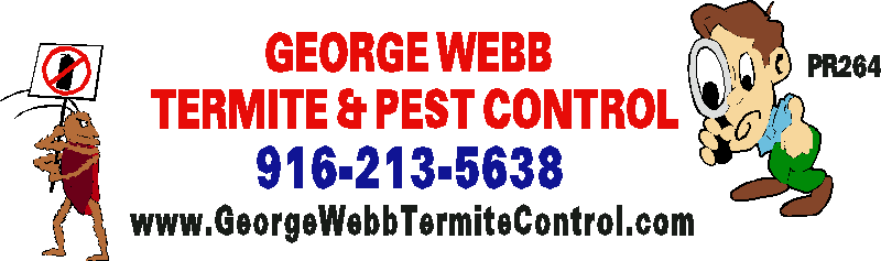 George Webb Termite Control in Oroville, CA