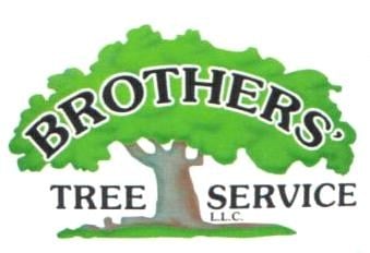 Brothers' Tree Service LLC in Watertown, CT