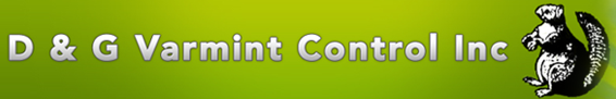 D & G Varmint Control Inc in Mabelvale, AR