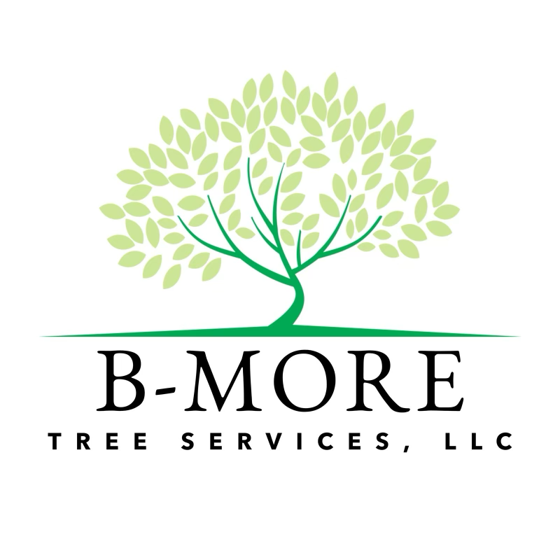 B More Tree Services, LLC in Brooklyn, MD