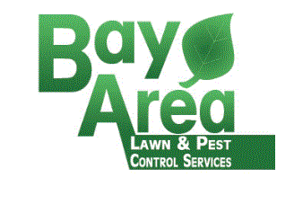 Bay Area Lawn Maintenance in Lutz, FL
