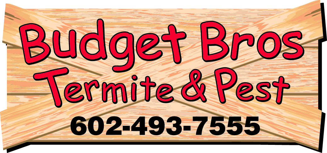 Budget Brothers Termite & Pest in Phoenix, AZ