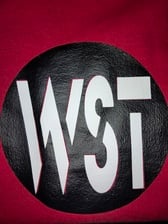 Wst Cleaning Services Llc in Phoenix, AZ