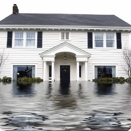 Torrance Water Damage in Torrance, CA