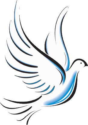 Peace Of Mind Cleaning, Inc. in Lutz, FL