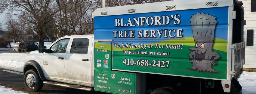 Blanford's Tree Service LLC in Colora, MD