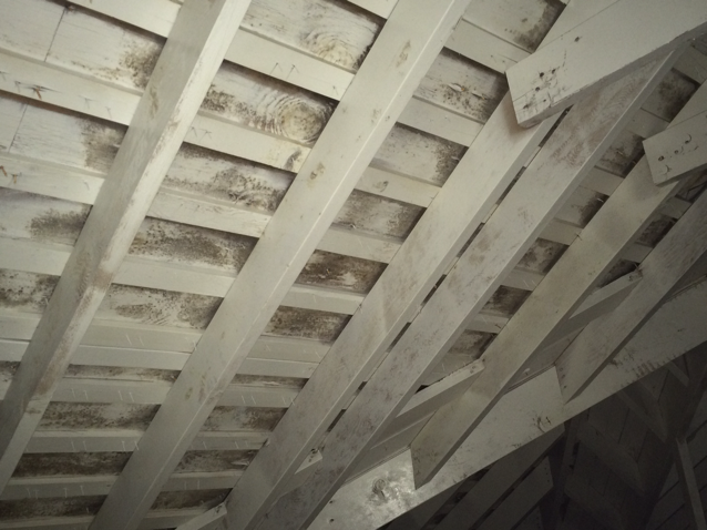 MOLD ABATEMENT CONTRACTORS, Inc in Phoenixville, PA