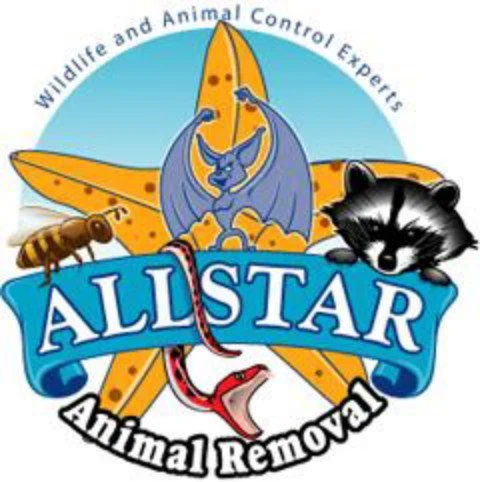 Allstar Animal Removal in Saint Petersburg, FL