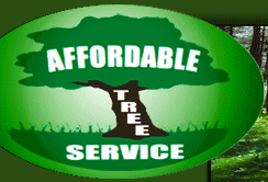 Affordable Tree Service in Torrington, CT