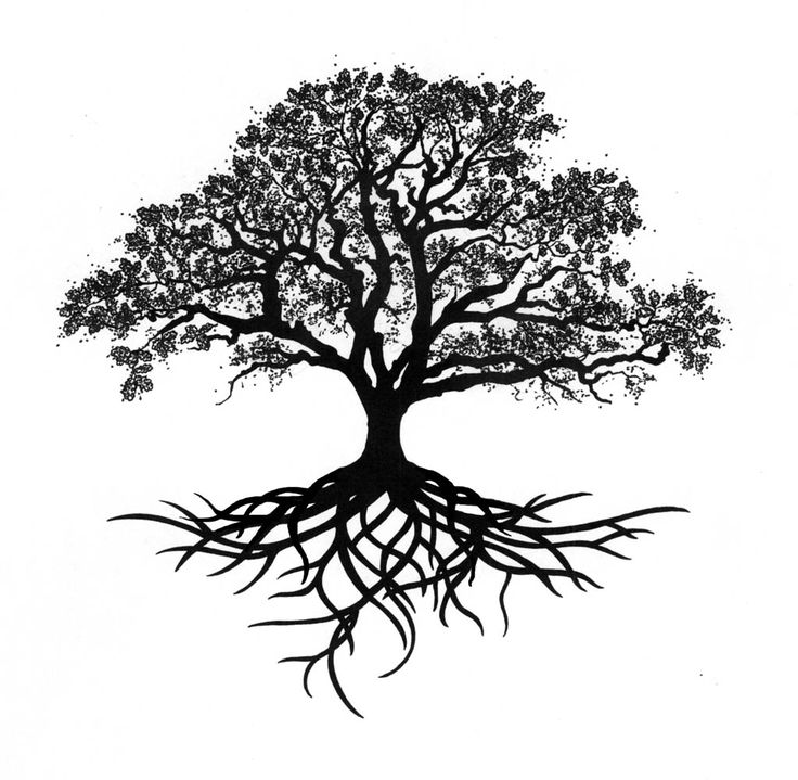 Bare Woods & Home Furnishings in Chantilly, VA