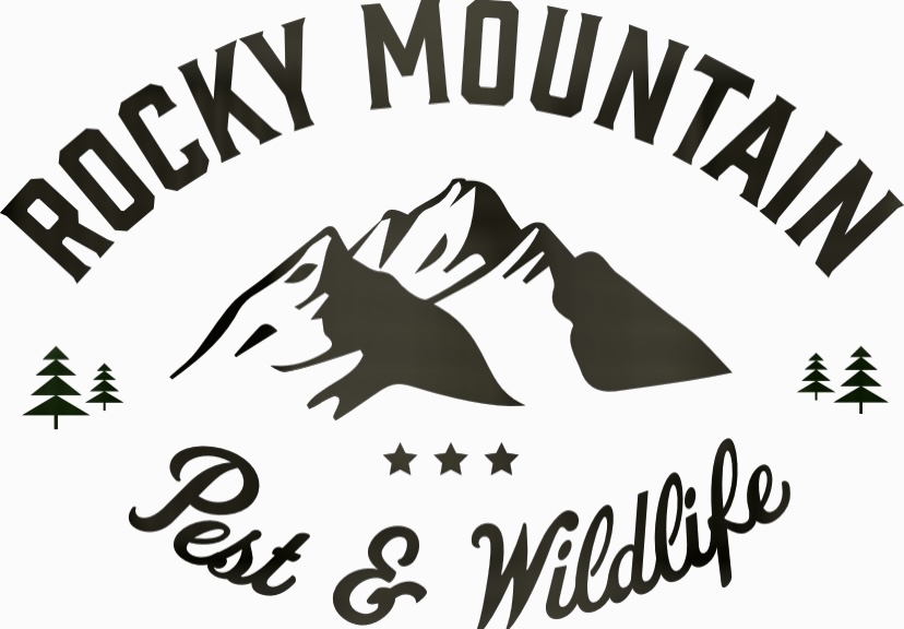 Rocky Mountain Pest and Wildlife  in Castle Rock, CO