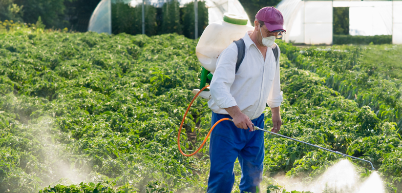 Bug Master Pest Control in Missoula, MT