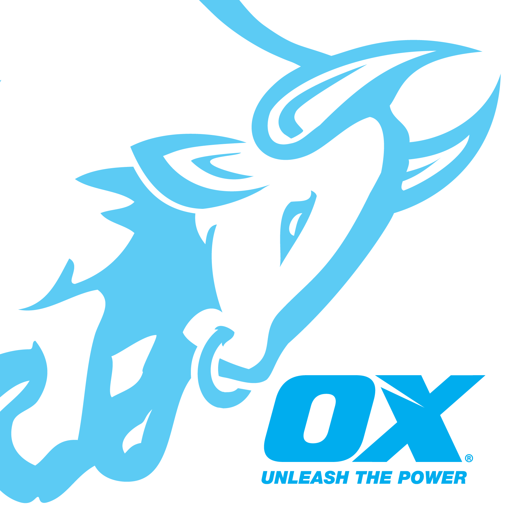 OX Group USA in Cranford, NJ