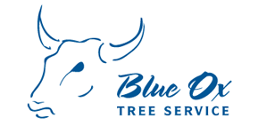 Blue Ox Tree Service in Lincoln, NE