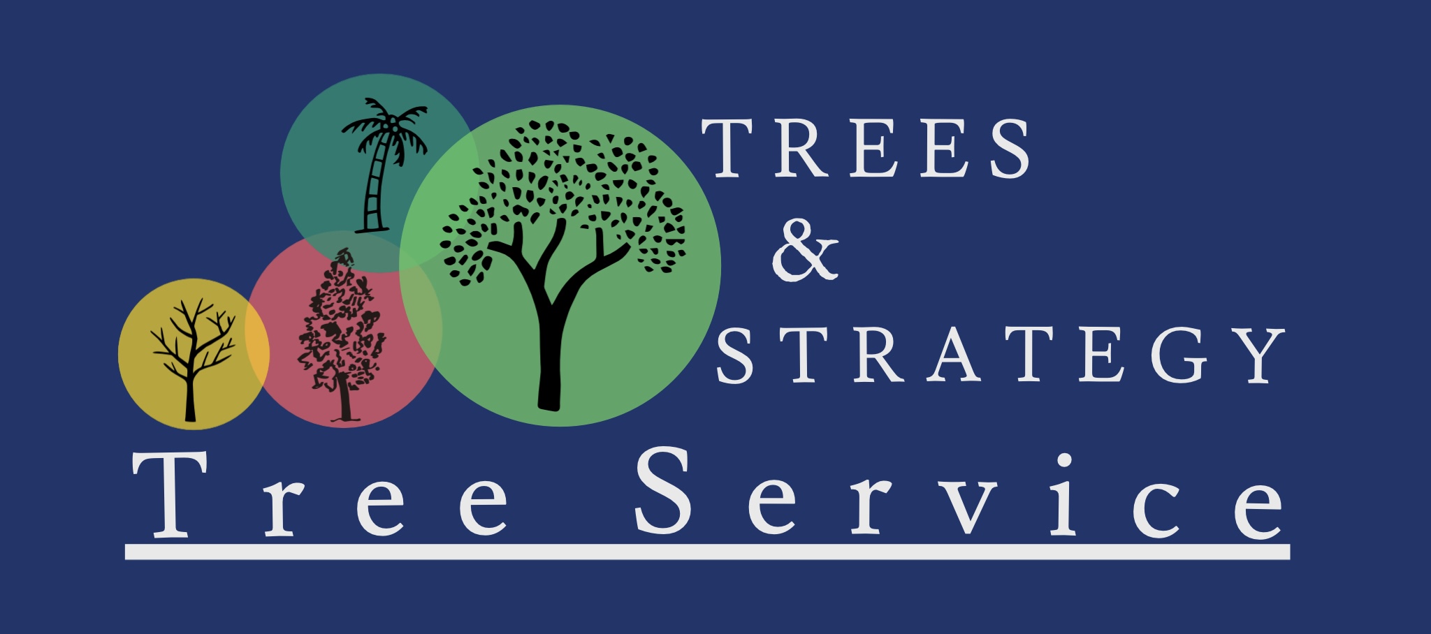 Trees & Strategy Tree Service in Tucson, AZ