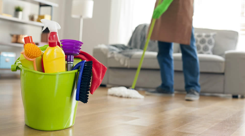 Patty'S House Cleaning & Maid Service Llc in Millsboro, DE
