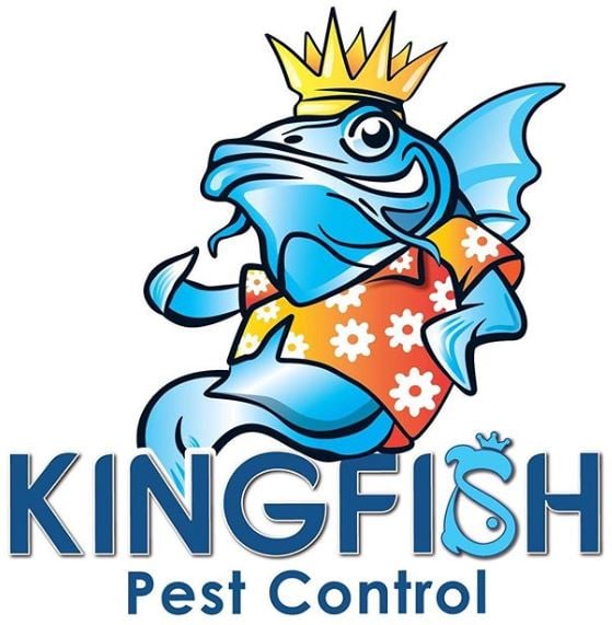 Kingfish Pest Control in Ponte Vedra Beach, FL