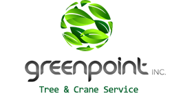 Greenpoint Tree Service, Inc. in Carmel, NY