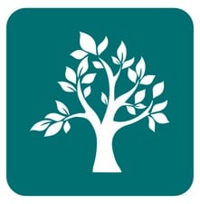 Jade Landscaping, LLC in Norwalk, CT