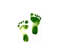 Green Facility Cleaning in Nuevo, CA