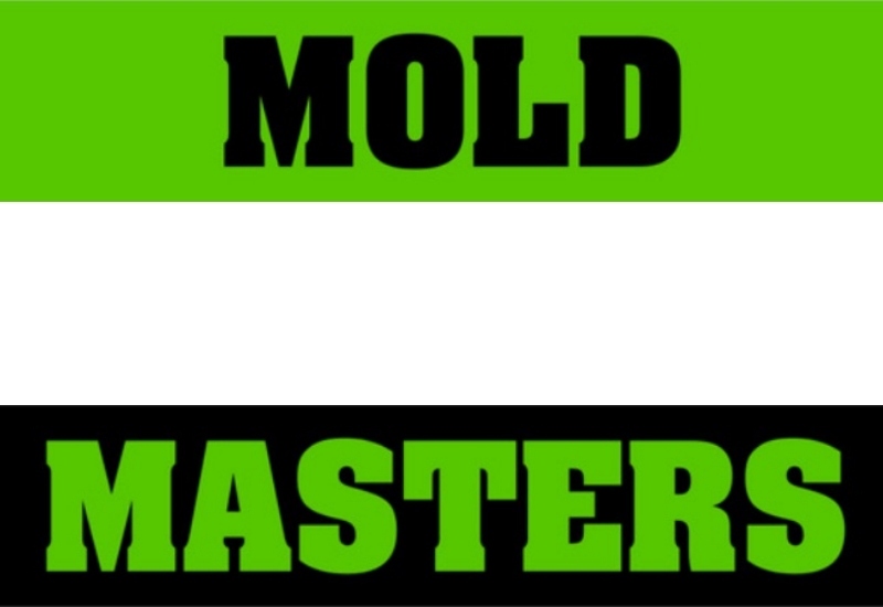 My Mold Masters LLC in Dunedin, FL