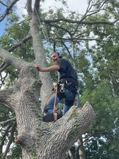 Everything Green Tree Service in Deland, FL