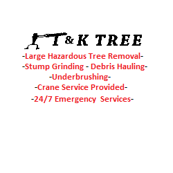 T & K Tree Service in New Smyrna Beach, FL