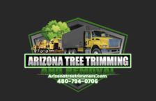 Arizona Tree Trimming and Removal in Scottsdale, AZ