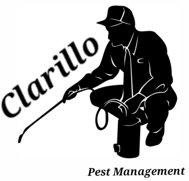 Clarillo pest management in New York, NY