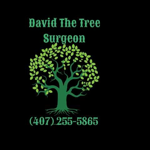 David the Tree Surgeon in Winter Springs, FL