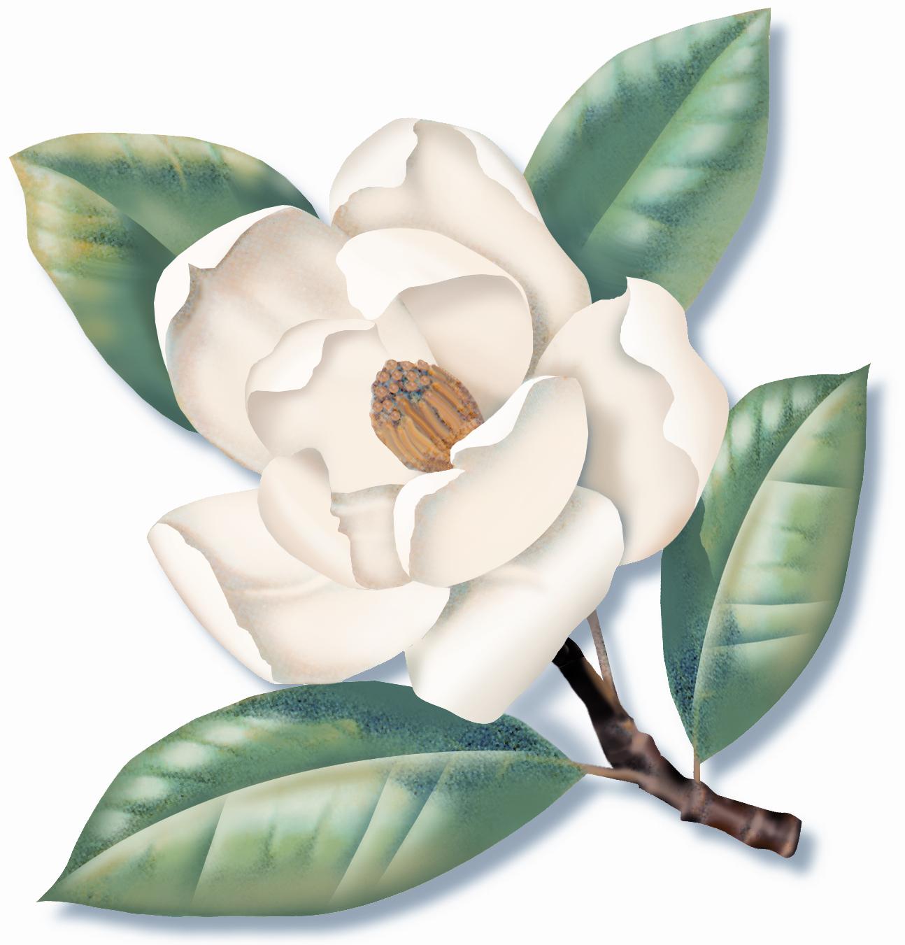 Southern California Tree and Landscape, Inc. in Torrance, CA
