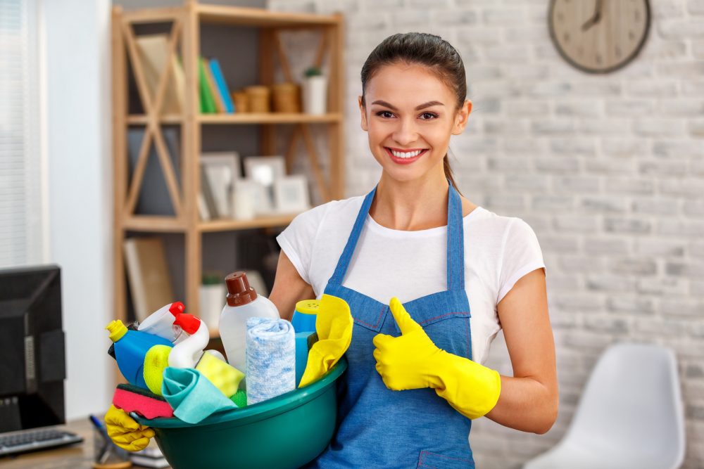 The Sparkling Maids in Laconia, NH