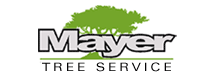 Mayer Tree Service Inc in Essex, MA