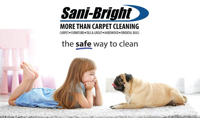Sani Bright Carpet Cleaning in Indianapolis, IN
